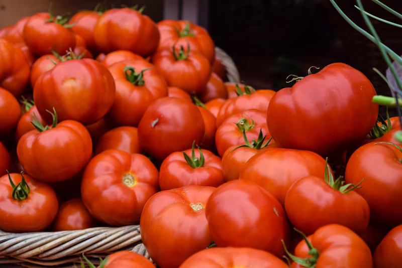 Molho de Tomate (340g)